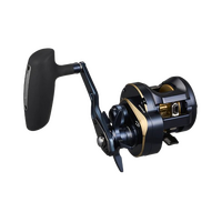 DAIWA 25 SALTIGA 300H OVERHEAD REEL