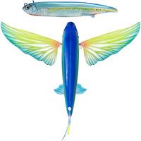 NOMAD SLIPSTREAM 200 FLYING FISH PACK LURE