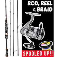 SNAPPER SNATCHER ROD REEL COMBO