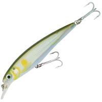 RAPALA X-RAP SALTWATER SXR12 LURE